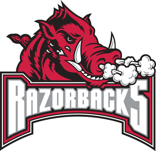 Arkansas Razorbacks 2001-2008 Secondary Logo v2 DIY iron on transfer (heat transfer)